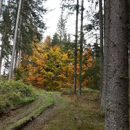 Chalupa Lipno Černá v Pošumaví